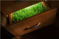 什么是綠色環保辦公家具？環保辦公家具標準是什么？